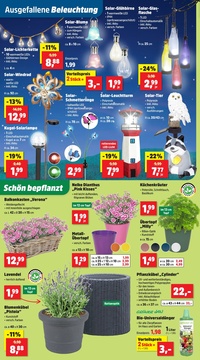 Thomas Philipps Prospekt - Angebote ab 16.06.