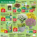 Thomas Philipps Prospekt - Garten & Balkon Angebote