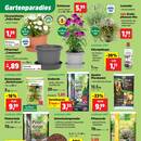 Thomas Philipps Prospekt - Garten & Balkon Angebote