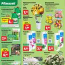 Thomas Philipps Prospekt Seite 2