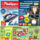 Thomas Philipps Prospekt - Blumen