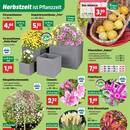 Thomas Philipps Prospekt Seite 2