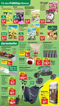 Thomas Philipps Prospekt - Angebote ab 08.09.
