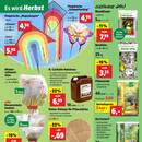 Thomas Philipps Prospekt - Herbstliche Angebote Angebote