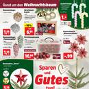 Thomas Philipps Prospekt Seite 5