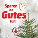 Thomas Philipps Prospekt Seite 3