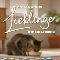 Thomas Philipps Prospekt Seite 3