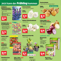 Thomas Philipps Prospekt Seite 2