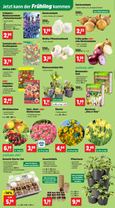 Thomas Philipps Prospekt - Angebote ab 16.02. - Seite 2