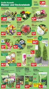 Thomas Philipps Prospekt - Angebote ab 23.02.