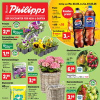 Thomas Philipps Prospekt - Blumen