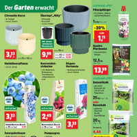 Thomas Philipps Prospekt Seite 9