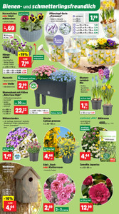 Thomas Philipps Prospekt - Angebote ab 09.03.