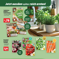 Thomas Philipps Prospekt Seite 2