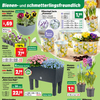 Thomas Philipps Prospekt - Blumen