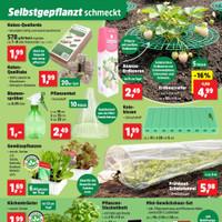 Thomas Philipps Prospekt - Obst & Gemüse