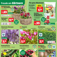 Thomas Philipps Prospekt Seite 2