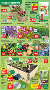 Thomas Philipps Prospekt - Angebote ab 30.03. - Seite 2