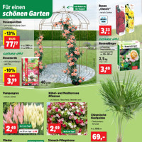 Thomas Philipps Prospekt - Blumen