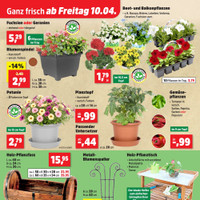 Thomas Philipps Prospekt - Obst & Gemüse