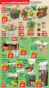 Thomas Philipps Prospekt - Angebote ab 07.04.