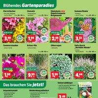 Thomas Philipps Prospekt Seite 5