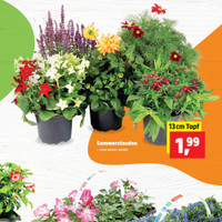 Thomas Philipps Prospekt Seite 7