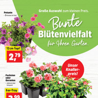 Thomas Philipps Prospekt Seite 2