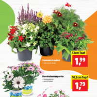 Thomas Philipps Prospekt Seite 3