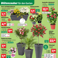 Thomas Philipps Prospekt Seite 6