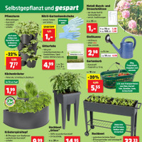 Thomas Philipps Prospekt - Obst & Gemüse