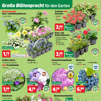 Thomas Philipps Prospekt Seite 6