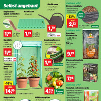 Thomas Philipps Prospekt - Obst & Gemüse