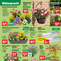 Thomas Philipps Prospekt Seite 5