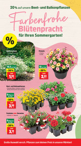 Thomas Philipps Prospekt - Angebote ab 08.06.
