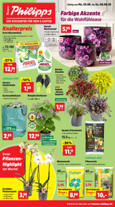 Thomas Philipps Prospekt - Angebote ab 03.08.