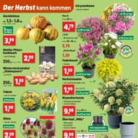 Thomas Philipps Prospekt Seite 2