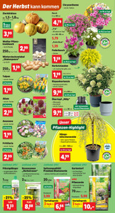 Thomas Philipps Prospekt - Angebote ab 31.08. - Seite 2