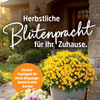Thomas Philipps Prospekt - Herbstliche Angebote Angebote