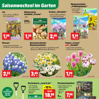 Thomas Philipps Prospekt - Blumen