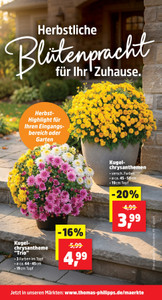 Thomas Philipps Prospekt - Angebote ab 07.09.