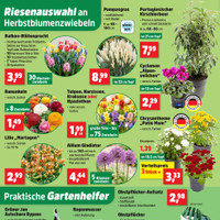 Thomas Philipps Prospekt Seite 2