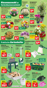 Thomas Philipps Prospekt - Angebote ab 21.09. - Seite 2