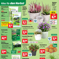 Thomas Philipps Prospekt - Herbstliche Angebote Angebote