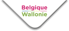Belgique Wallonie Logo