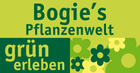 Bogie’s Pflanzenwelt Logo