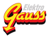 Elektro Gauss