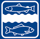 Erzgebirgs-Fisch Olbernhau