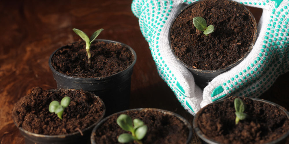 Frühjahrs-Vorbereitung: Jetzt den Gartenstart planen